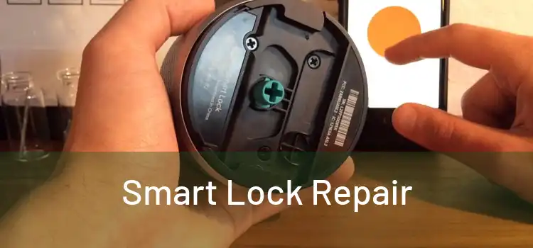 Smart Lock Repair